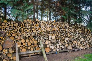 How to Store Firewood