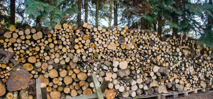 How to Store Firewood