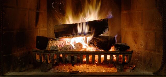 Seasoned Firewood: The Key to Safe and Efficient Heating