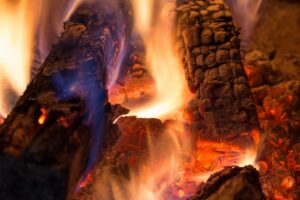 Hardwoods or softwoods for heating your home