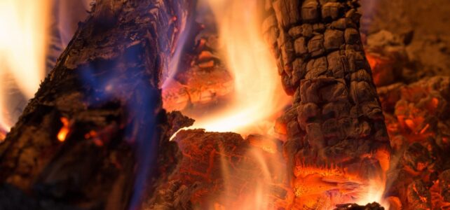 Hardwoods or softwoods for heating your home