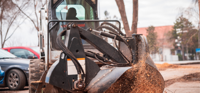 Professional Stump Grinding