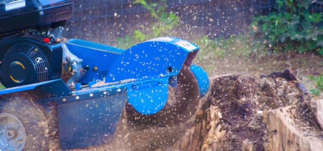 Professional Stump Grinding