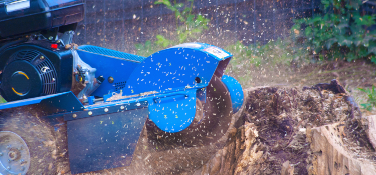 Professional Stump Grinding