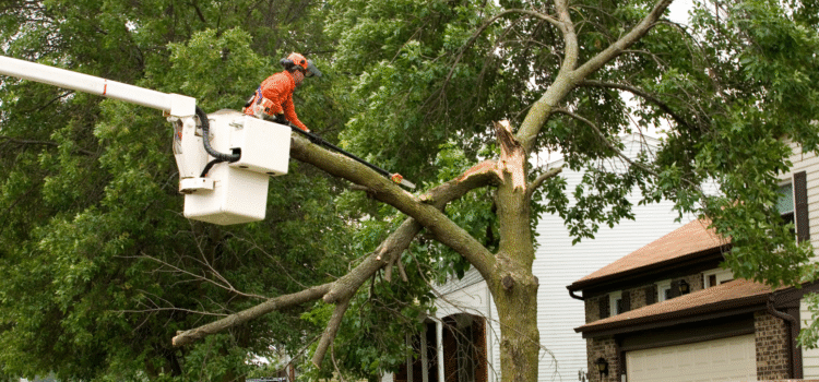 storm-proofing