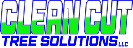 Cheapest Tree Removal - Clean Cut Tree Solutions