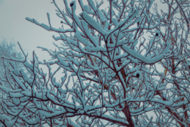 ohio snowy weather