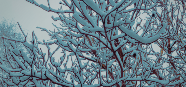 ohio snowy weather