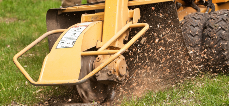 professional stump grinding